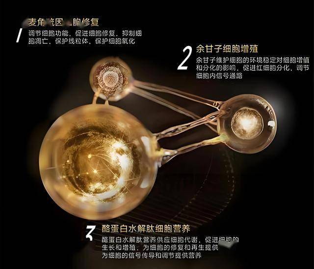 ex外汇官方网站是什么我查了所有资料，发现ex外汇平台在中国竟然有这样的合法性！